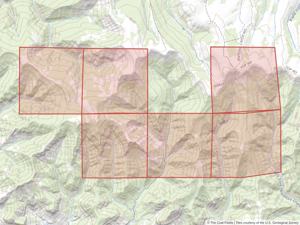 'Uinta Basin Coal Lease' | 1,803 acres in Carbon, Utah | Established in 1929 | Plateau Mining Co. | 'UTSL  0048442'