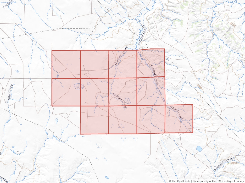 'Powder River Basin Coal Lease' | 4,295 acres in Campbell, Wyo. | Established in 1966 | BTU Western Resources Inc. et al. | 'WYW    172413'