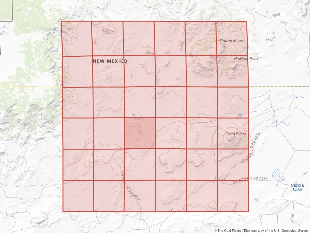 Sec. 21, T.4N, R.17W, New Mexico P.M. Coal Mining Leases