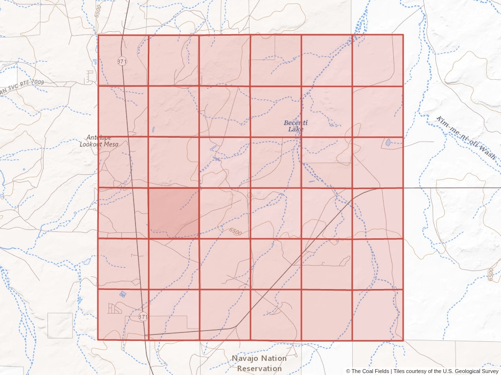 Sec. 20, T.18N, R.12W, New Mexico P.M. Coal Mining Leases