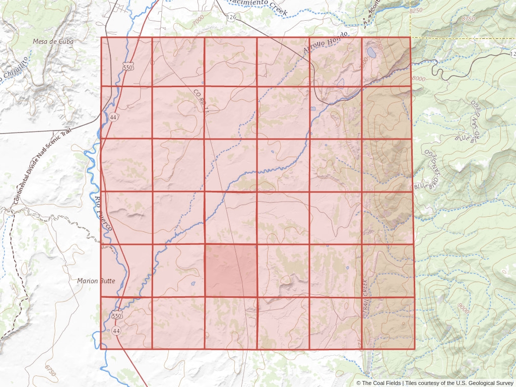 Sec. 28, T.20N, R.1W, New Mexico P.M. Coal Mining Leases