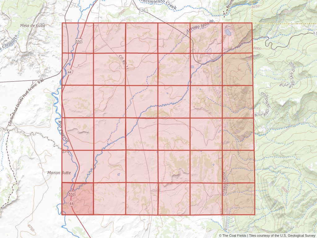 Sec. 31, T.20N, R.1W, New Mexico P.M. Coal Mining Leases