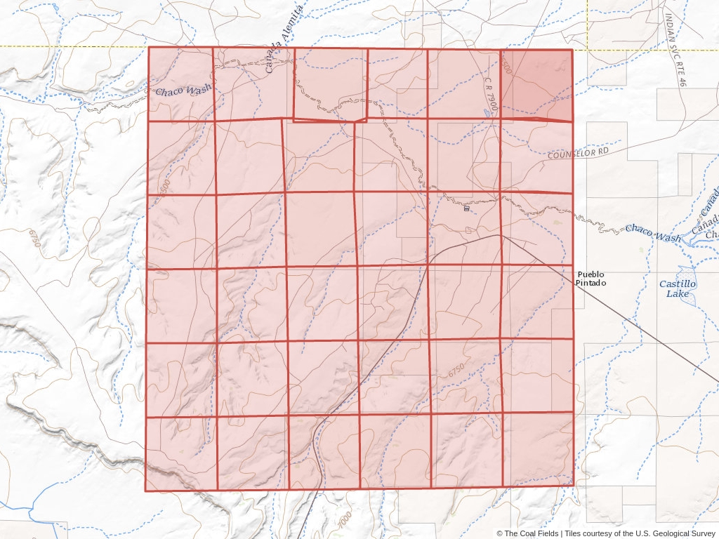 Sec. 1, T.20N, R.8W, New Mexico P.M. Coal Mining Leases