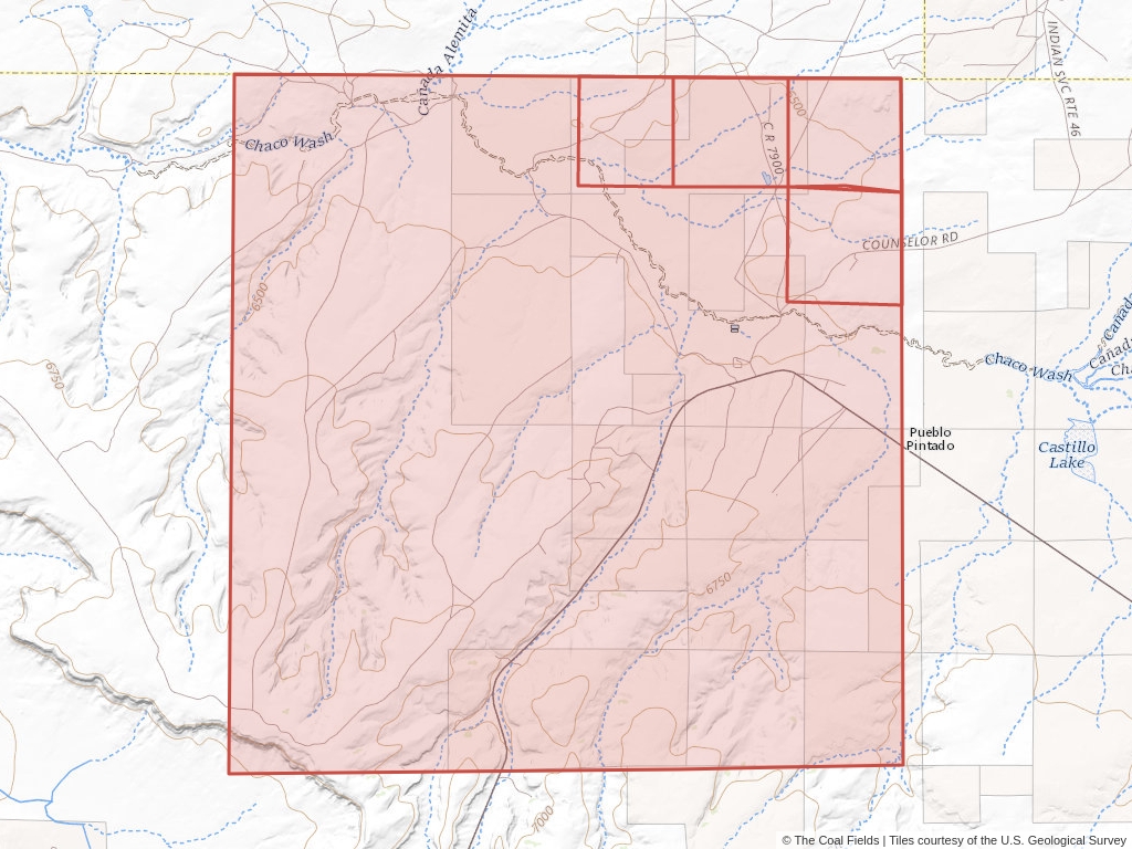 T.20N, R.8W, New Mexico P.M. Coal Mining Leases