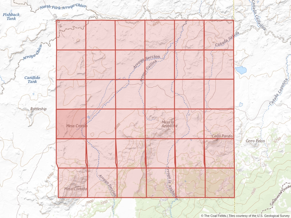 Sec. 19, T.16N, R.5W, New Mexico P.M. Coal Mining Leases