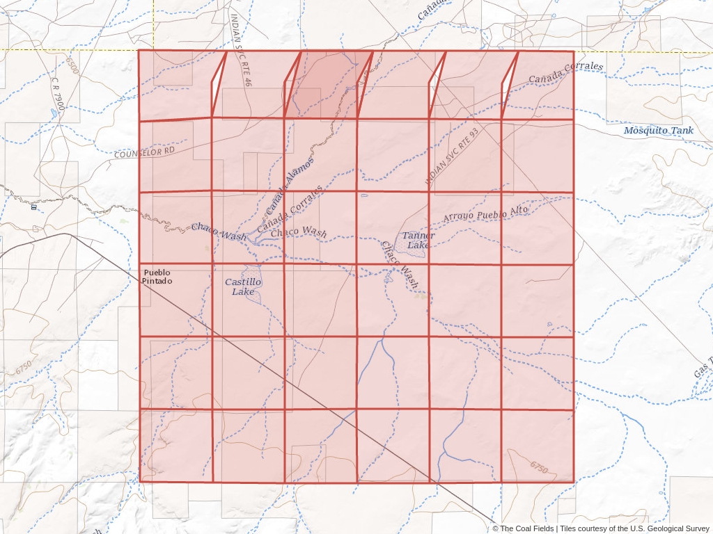 Sec. 4, T.20N, R.7W, New Mexico P.M. Coal Mining Leases