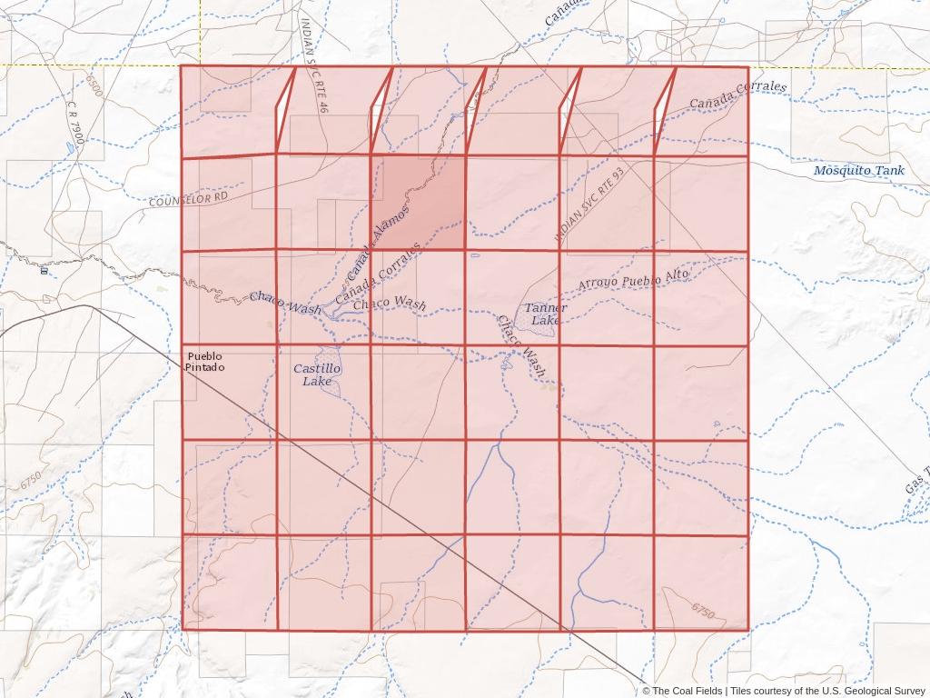 Sec. 9, T.20N, R.7W, New Mexico P.M. Coal Mining Leases